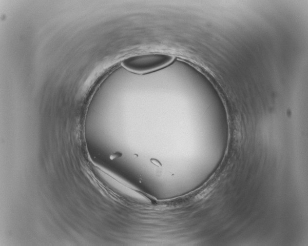 X0000052541499200507221412