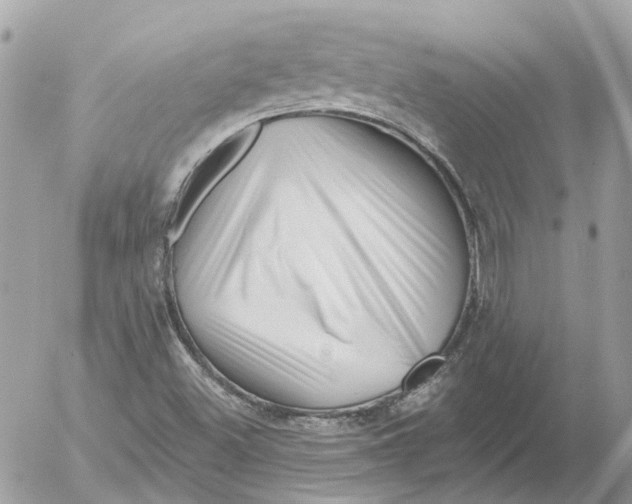 X0000052541500200507221412