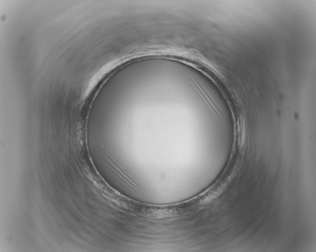 X0000052541501200507221412