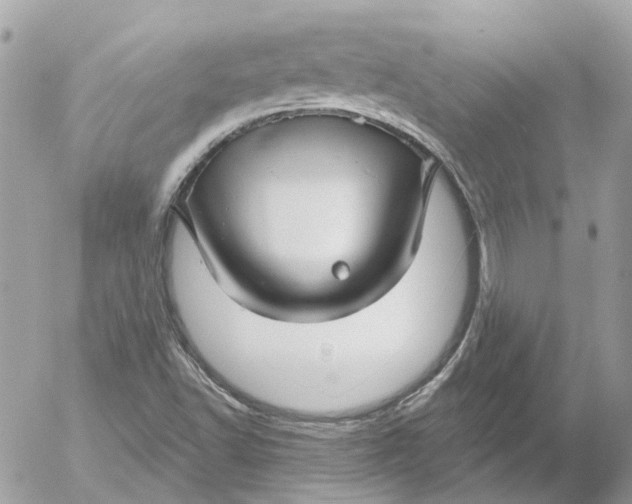 X0000052541502200507221412