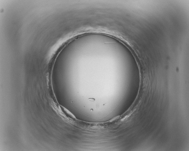 X0000052541503200507221412