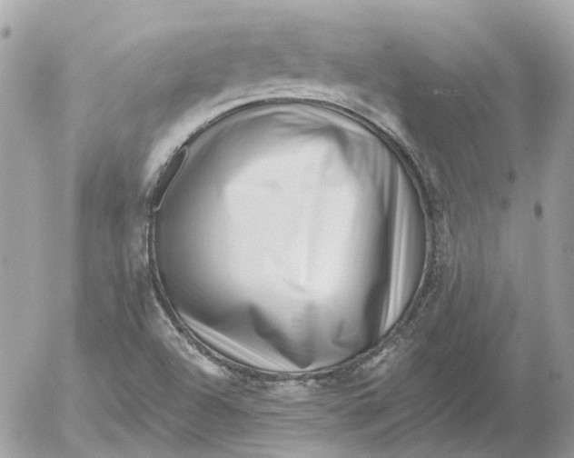 X0000052541504200507221412