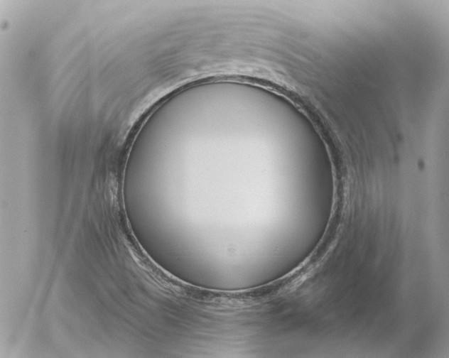 X0000052541505200507221412