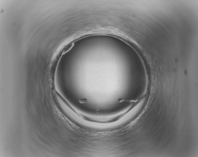 X0000052541506200507221412