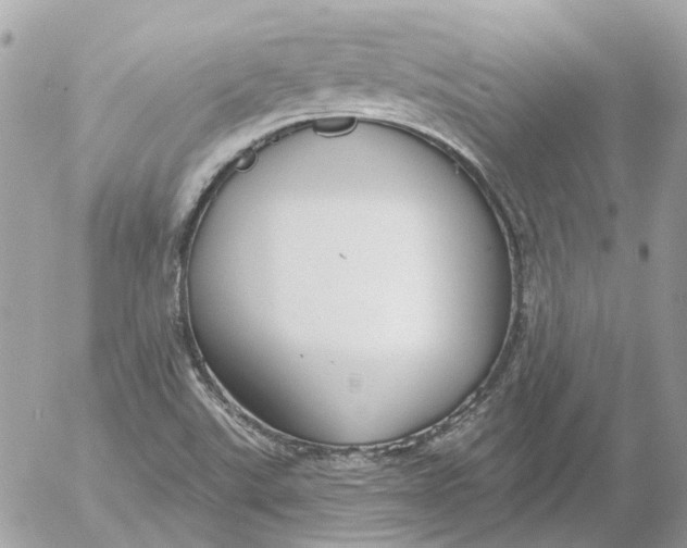 X0000052541507200507221412