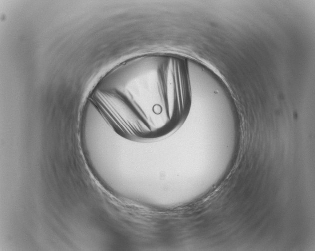 X0000052541508200507221412