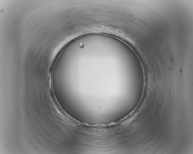 X0000052541509200507221412