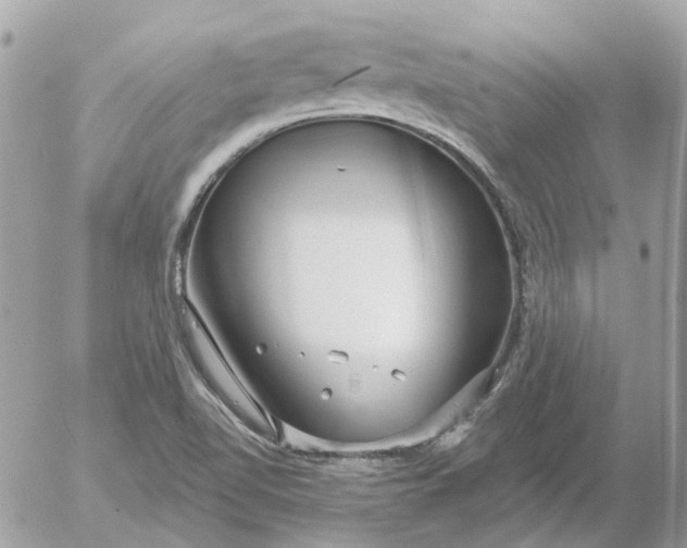 X0000052541510200507221412