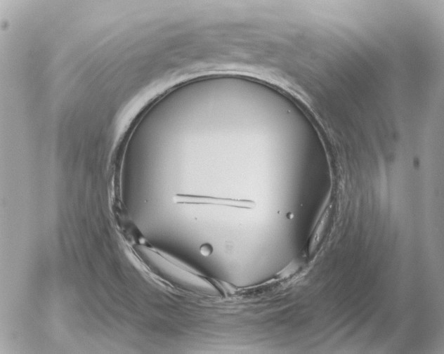 X0000052541511200507221412