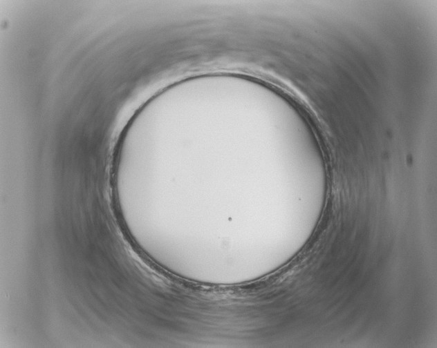 X0000052541512200507221412