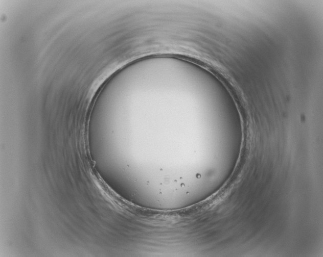 X0000052541513200507221412