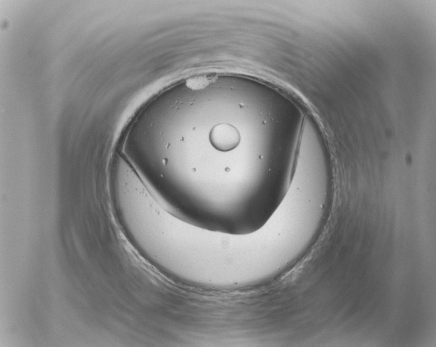 X0000052541514200507221412