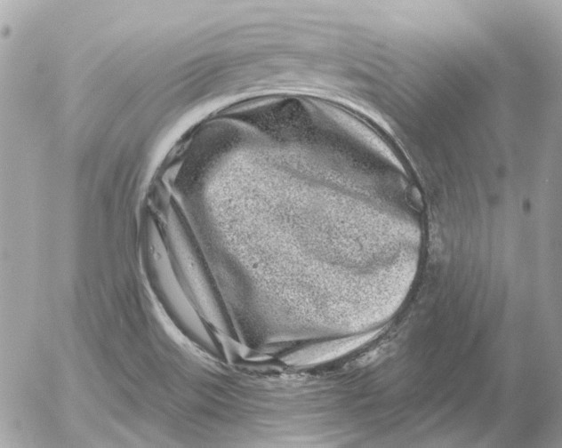 X0000052541515200507221413