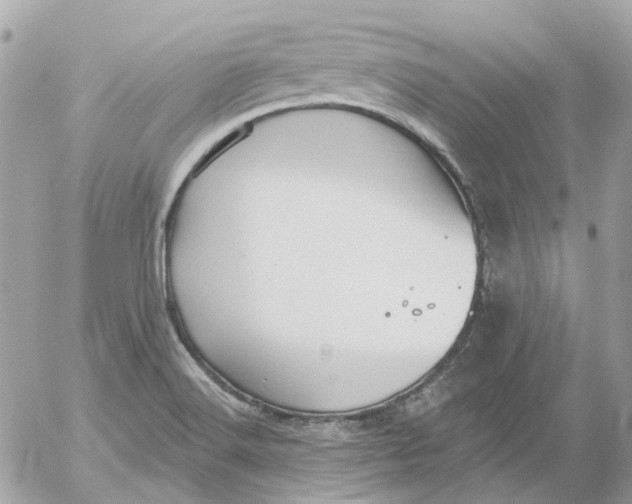 X0000052541516200507221413