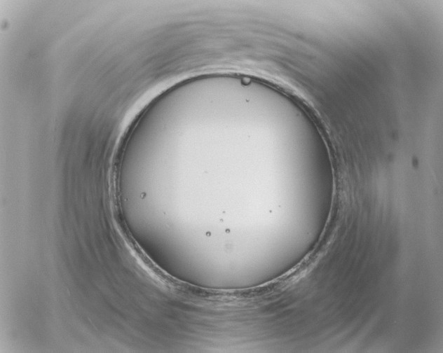 X0000052541517200507221413