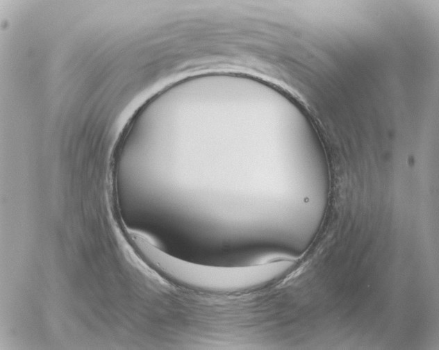 X0000052541518200507221413