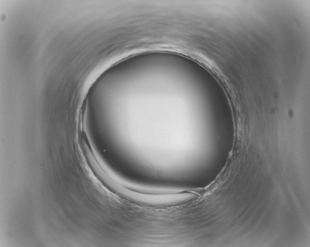 X0000052541520200507221413