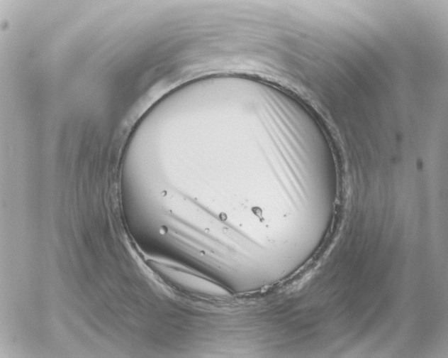 X0000052541521200507221413