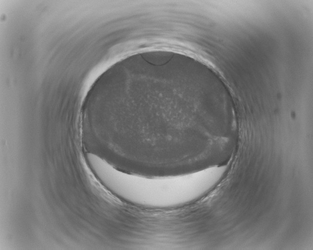 X0000052541522200507221413