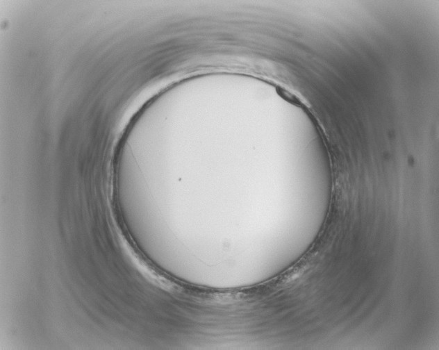 X0000052541523200507221413