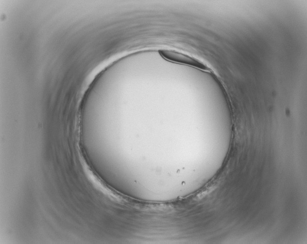 X0000052541526200507221413