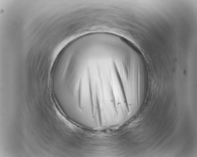 X0000052541527200507221413