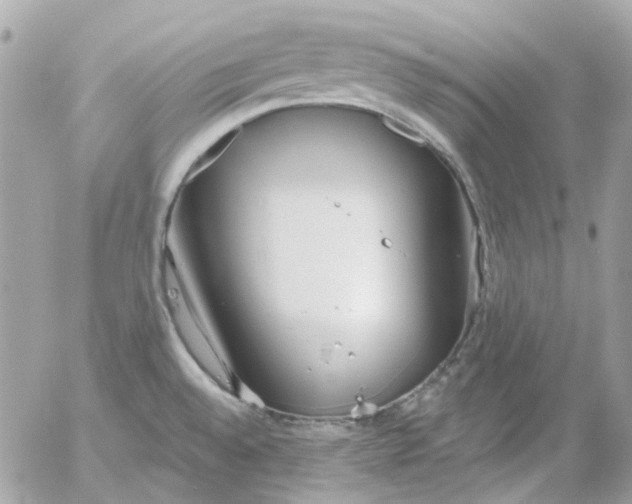 X0000052541528200507221413