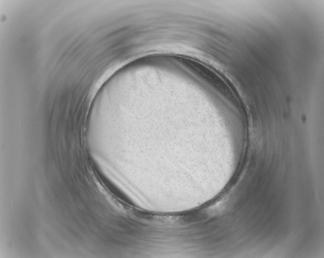 X0000052541529200507221413