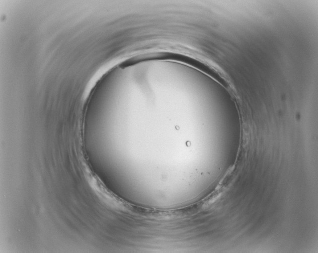 X0000052541530200507221413