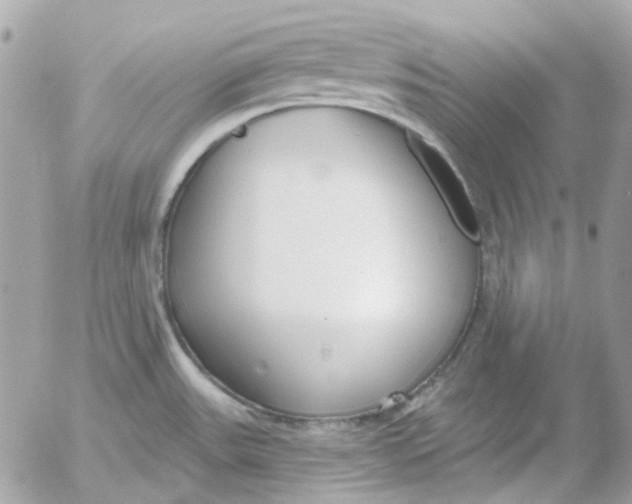 X0000052541531200507221413