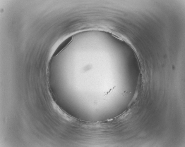 X0000052541532200507221413