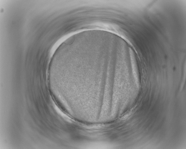 X0000052541535200507221413