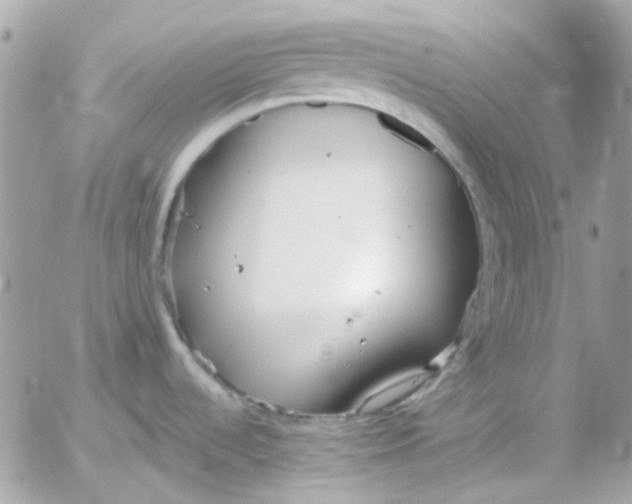 X0000052541536200507221413