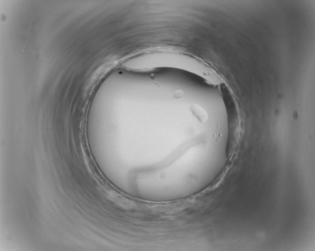 X0000052540001200507291902