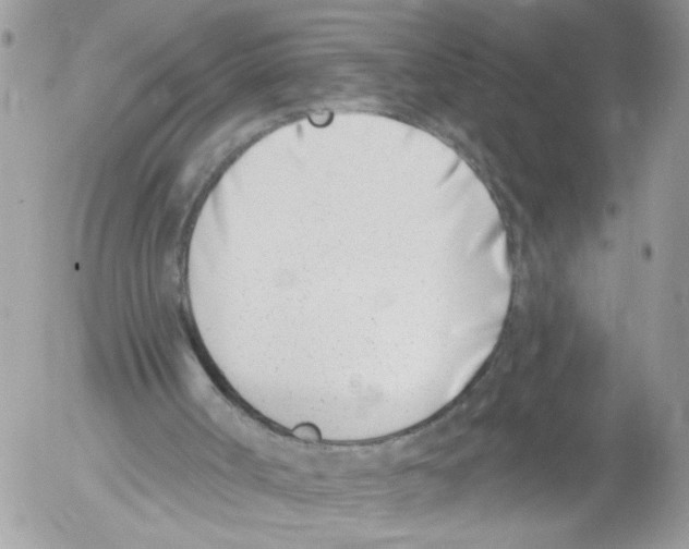 X0000052540002200507291902