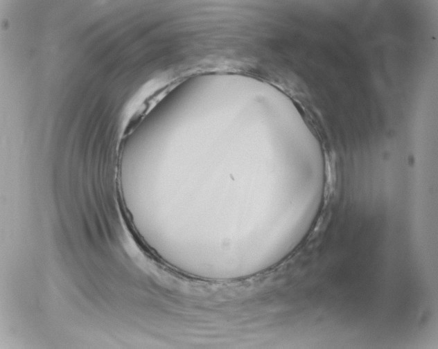 X0000052540003200507291902