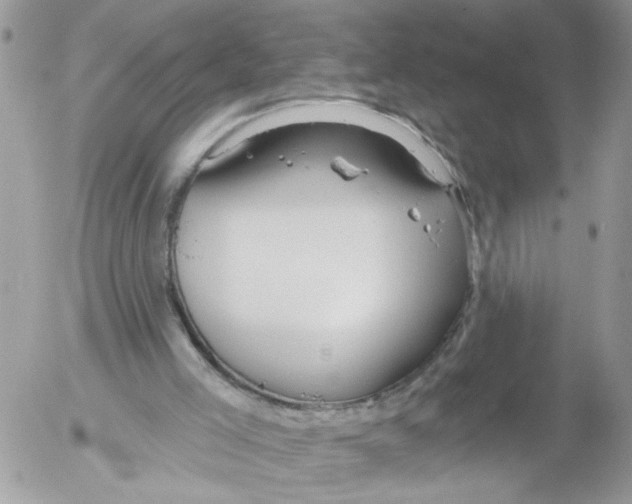 X0000052540005200507291902