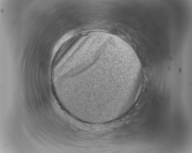 X0000052540006200507291902