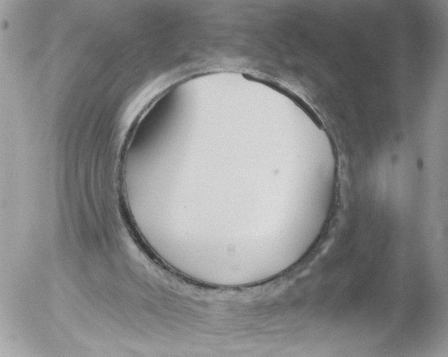 X0000052540007200507291902