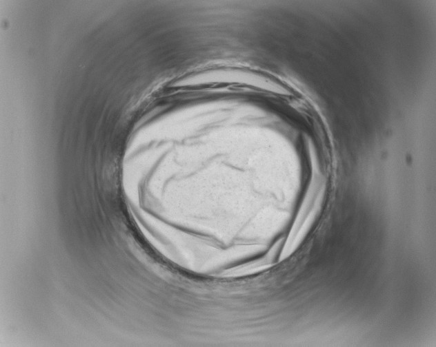 X0000052540009200507291902