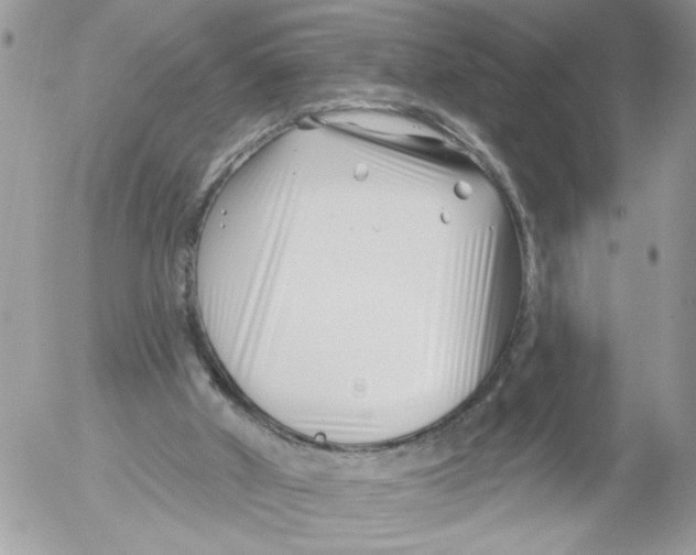 X0000052540010200507291902