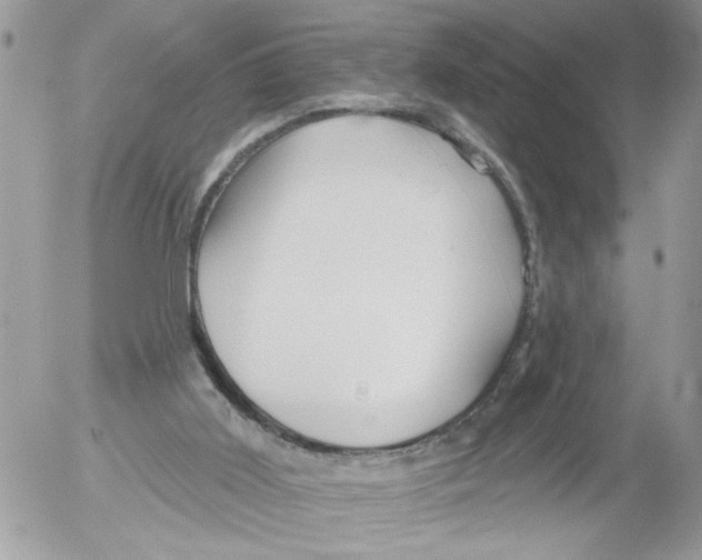 X0000052540011200507291902