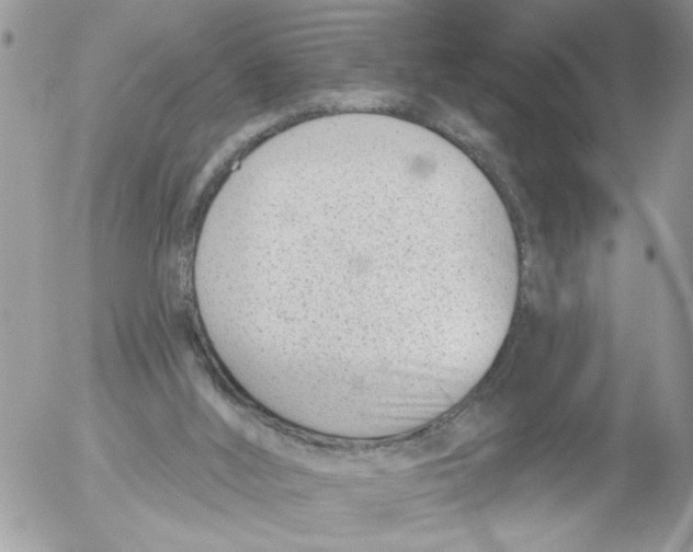 X0000052540012200507291902