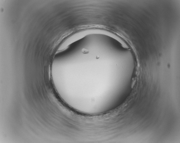 X0000052540013200507291902