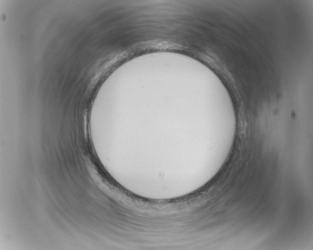 X0000052540014200507291902