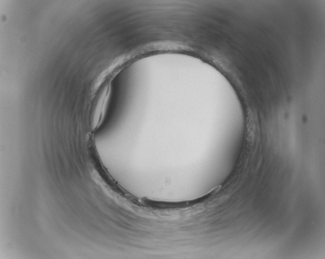 X0000052540015200507291902