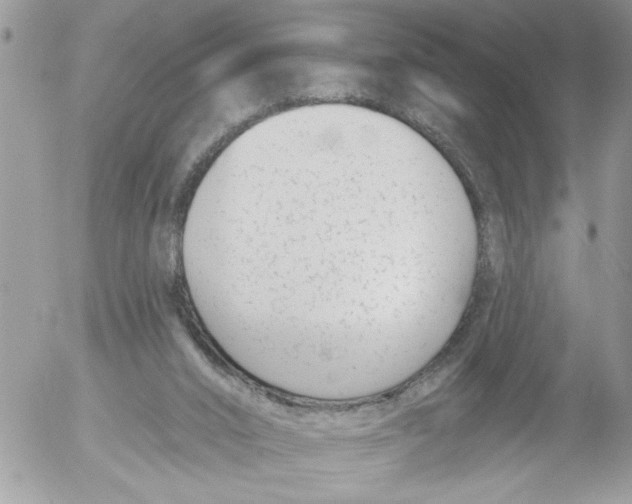 X0000052540016200507291902