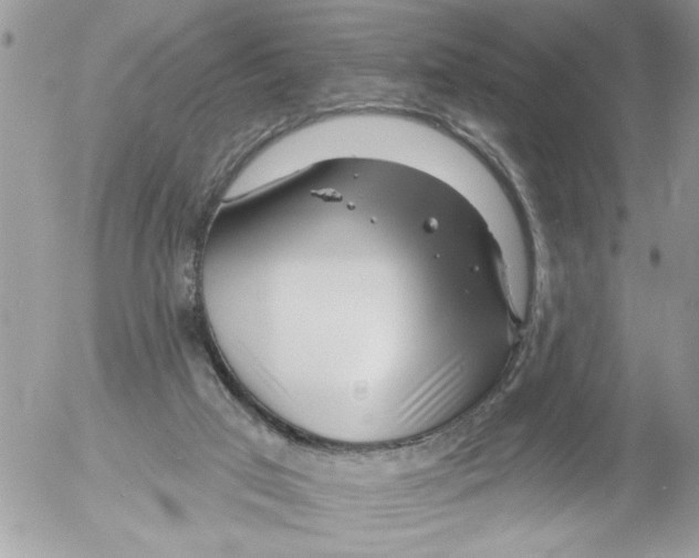 X0000052540017200507291902