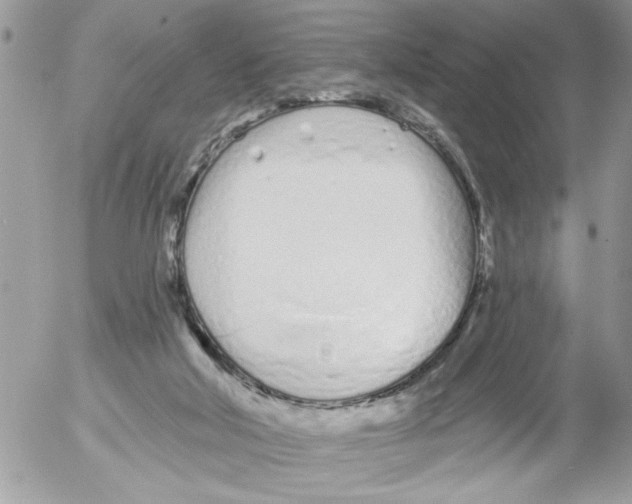 X0000052540018200507291902