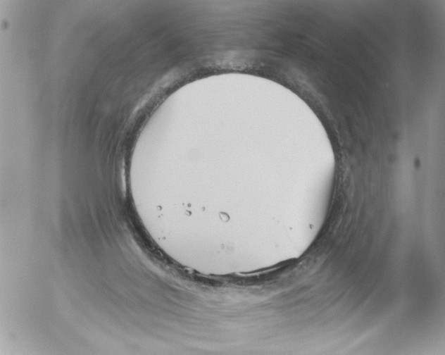 X0000052540020200507291902